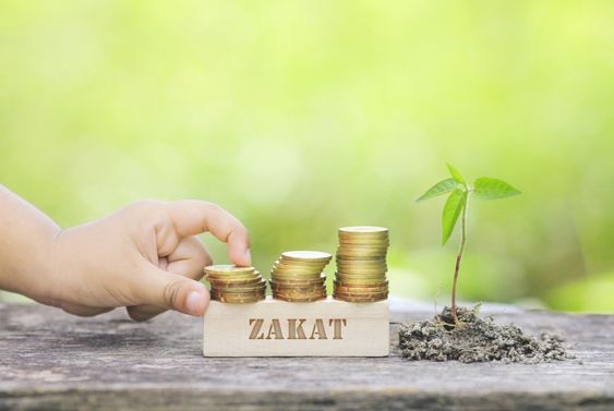 https://www.mysoremuslimmatrimony.com/wp-content/uploads/2020/07/Zakat-in-Islam.jpg