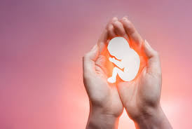 https://www.mysoremuslimmatrimony.com/wp-content/uploads/2020/08/How-to-tackle-an-abortion.jpg